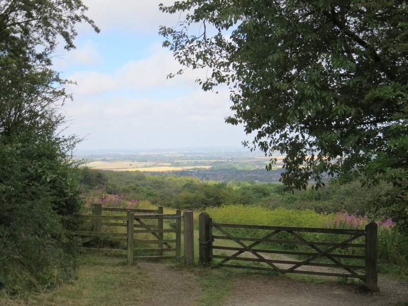 Pete's Walks Watlington Hill, Nuffield, Russell's Water (page 1 of 6)